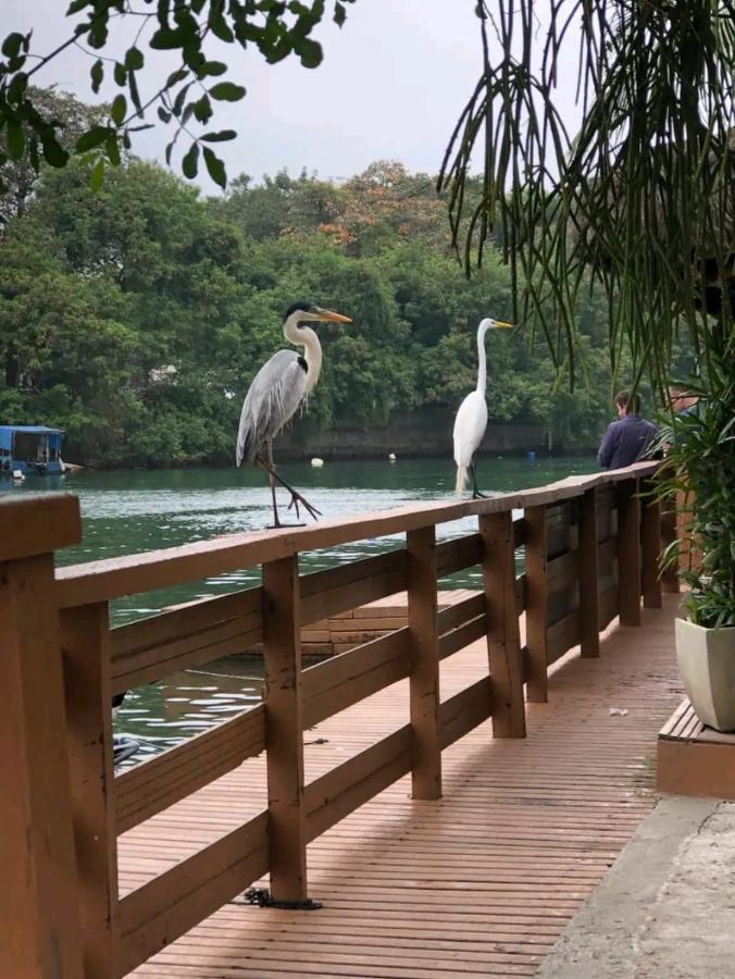 Barra Da Tijuca Rio De Janeiro Ilha Da Gigoiaアパートメント エクステリア 写真